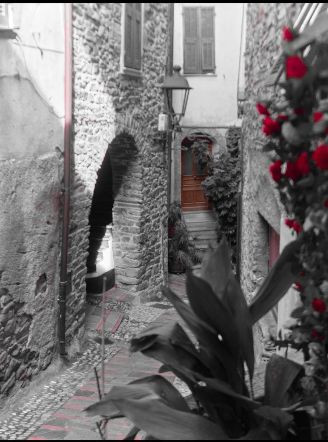 Sweet Home Centro Paese 15min da Sanremo e mare Badalucco Exterior foto